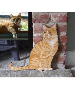 Personalised Cat Sitting Wall Plaque Personalised Cat Sitting Wall Plaque